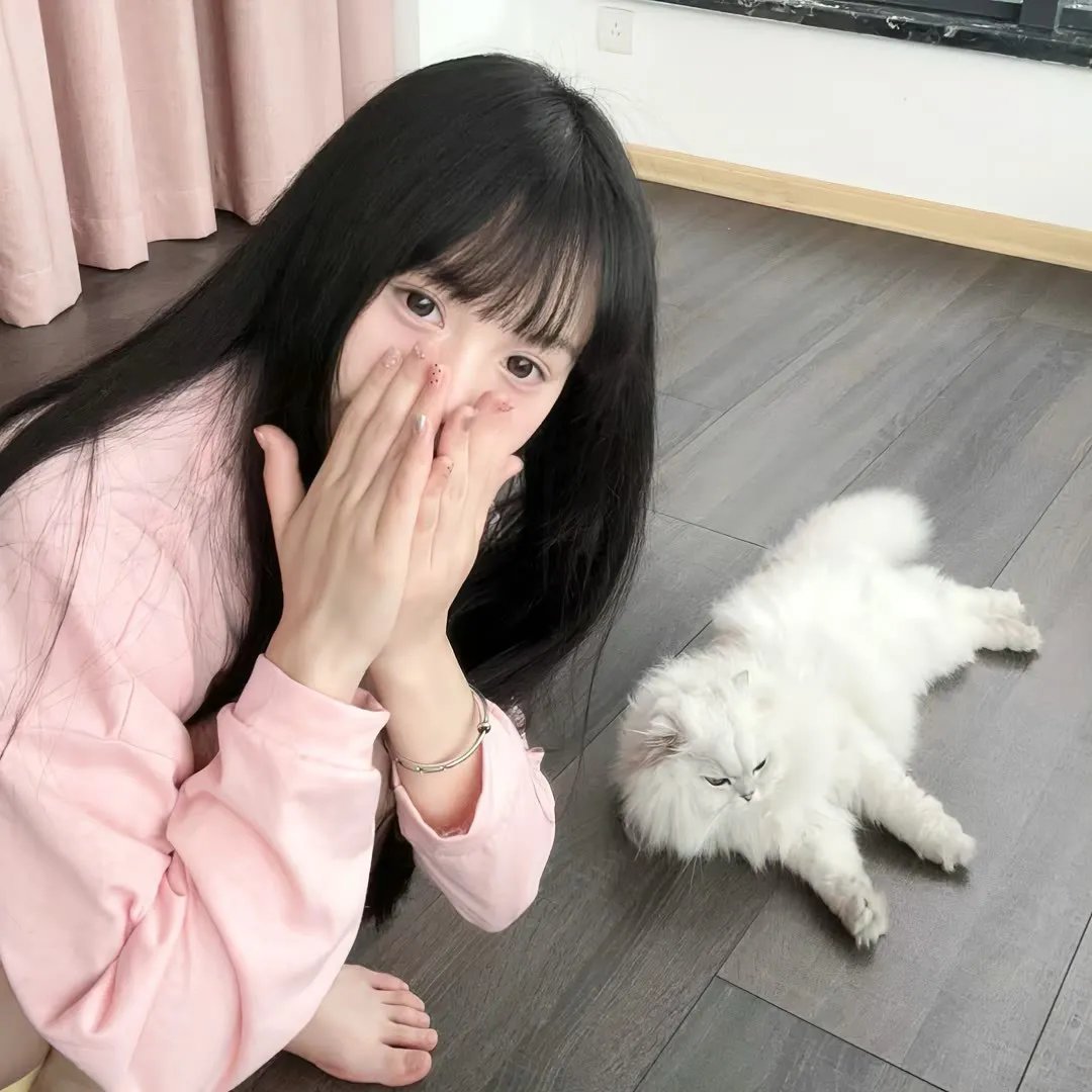 狐狸之声国语