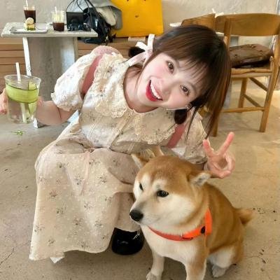 悲情三角